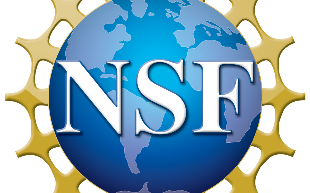 NSF Supplemental Funding Available for US-India Collaborative Research